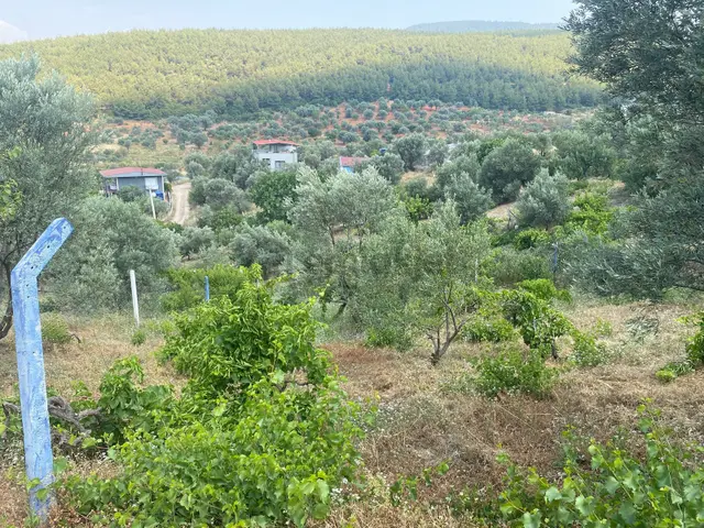 Ulucak İmar Alanına 650 Mt Uzaklıkta Satılık 2