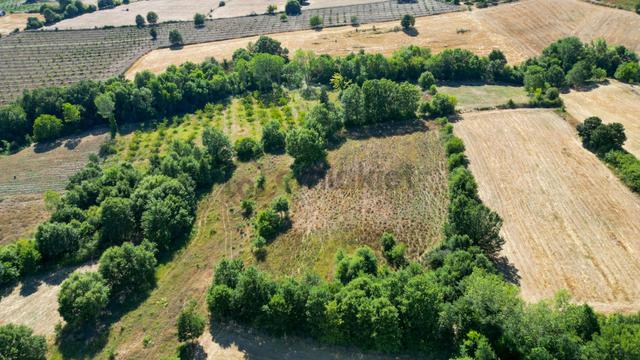 Karamürsel Hayriye 5595 M2 Satılık Yatırım Fırsatı 5