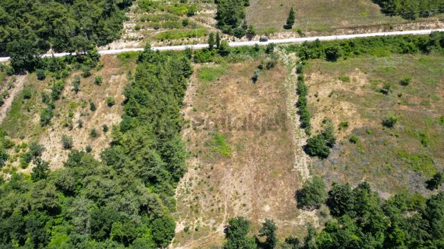 Uzmanlar'dan Çamdibi %5 İmarlı 1567 M2 Satılık Yatırımlık Tarla 5
