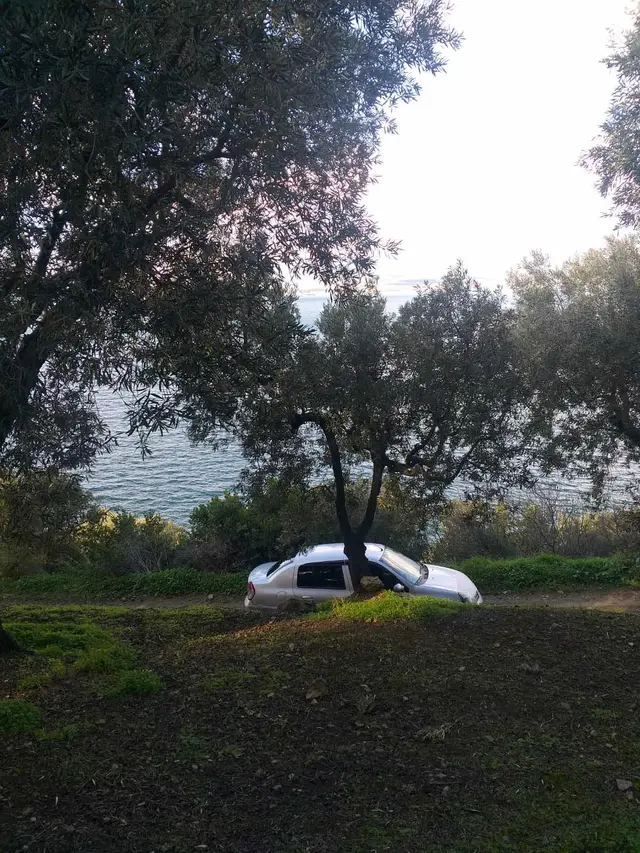Bandırma Edincikte Deniz Manzaralı Yola Cephe Satılık Zeytinlik 3