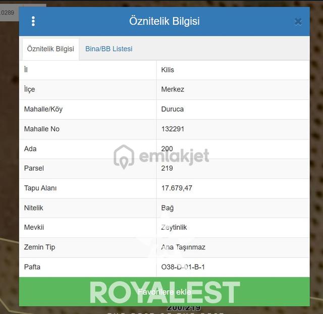 Royalest'ten Duruca 'da Yola Cepheli Zeytinlik Yatırımlık Fırsat 1