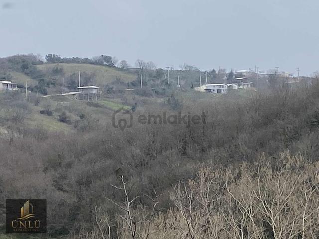 Yaman Köy'de Fırsat 8 Dönüm Zeytinlik Yerleşime Yakın 1