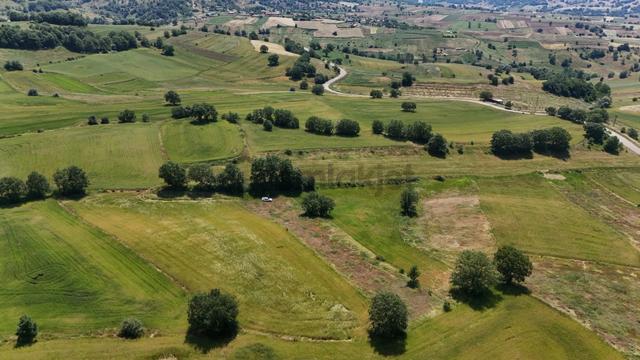 Bilecik Söğüt Ortaca'da 1.948 M² Uygun Fiyatlı Fırsat Arazi 2