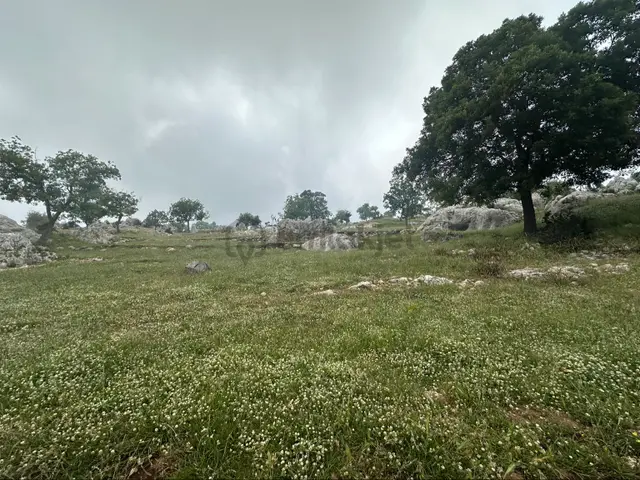 İnsu Yaylası 14 Dönüm Önü Kapanmaz Manzaralı Yaylalık Arazi Ev Takasına Açık 3
