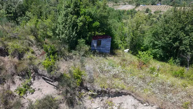 ​kastamonu Cide Kemelli'de Yatırımlık Ve Konteyner Uyumlu Bahçe! 4