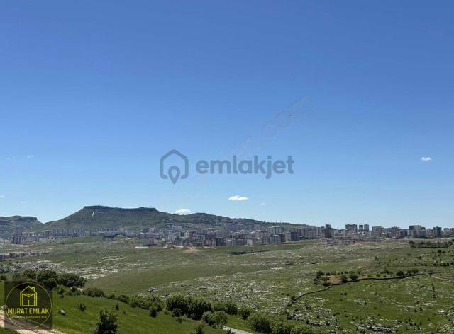 Murat Emlaktan Cadde Üzeri Merkeze Çok Yakın 5dönüm Tarla 4