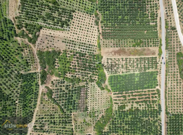 5.500m2 Meyva Bahçesi 2