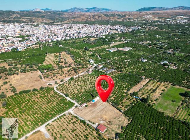 Seferihisar Camikebir Mah. Elektrik Su Numaratajlı 5.836m² Tarla 3
