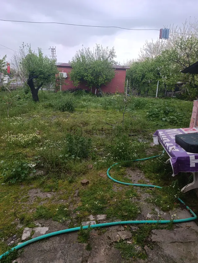 Kiralık Müstakil Ev 1