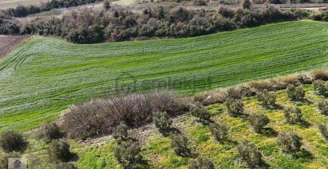 Mudanya Emirler Yenicesinde Satılık 8.211 M² Yatırımlık 5
