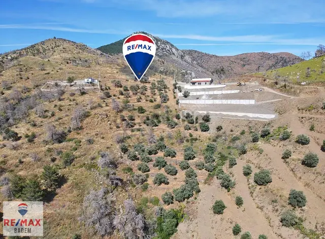Datça Mesudiye'de Deniz Manzaralı Fırsat Zeytinlik 5