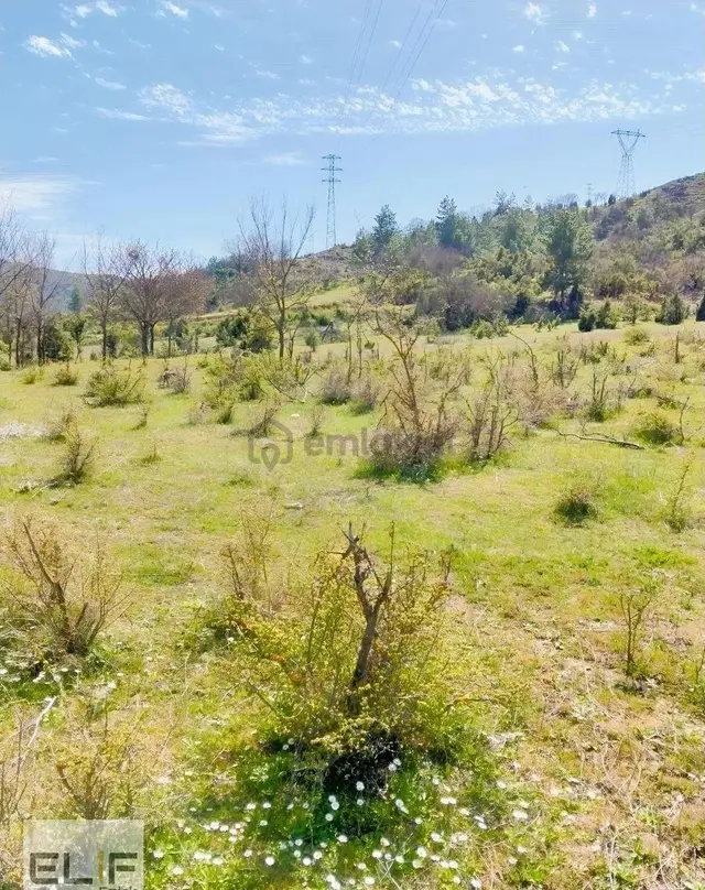 Galericiler Sitesi Alt Tarafında Yatırımlık 6459m² Satılık Tarla 3