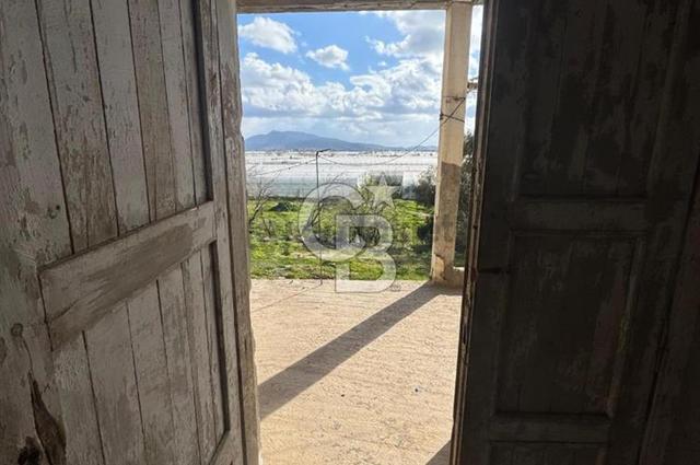 Antalya Kaş Kınık Mah. Satılık Tarla 2