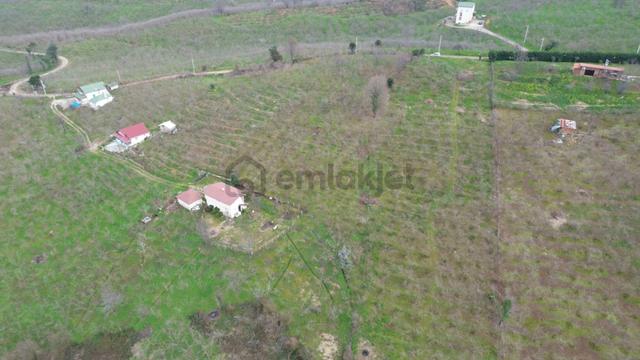 Merkeze 4 Km - Yolu Elektriği Suyu Olan Satılık Fındık Bahçesi 5