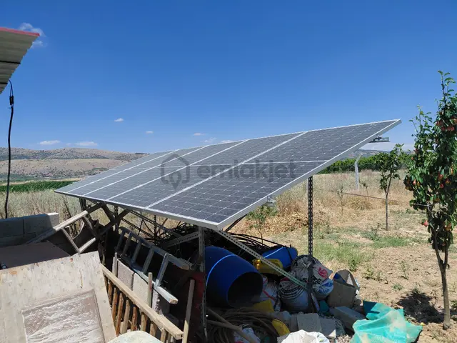 Çivril Menteş Mah. 2653 M2 250 Tane Badem Ağacı Ve 45 Tane Erik Kayısı Şeftali Bahcesi Satılık 3