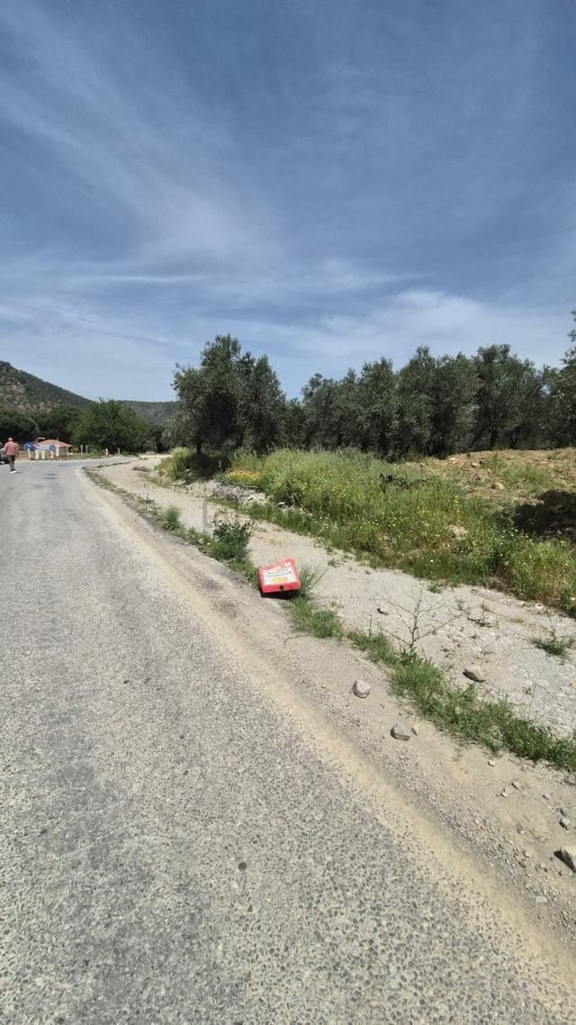 Burhaniye Sübeyliderede Asfalta Cepheli 8.436 M2 Zeytinlik 5