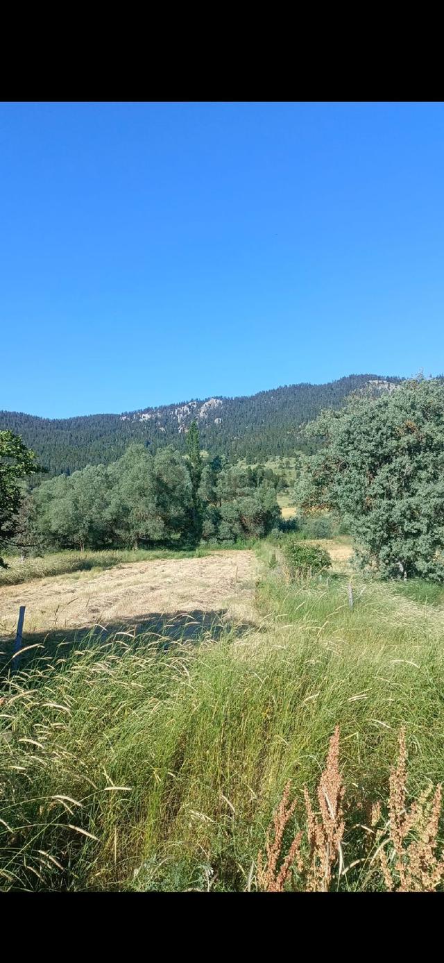 🌿 Mansurlu Burhaniye İnderesınde Satılık Arsa / Tarla 🌿 5