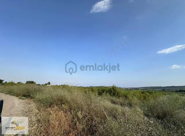 Ahmet Kara'dan Emirler Mah.de Satılık Badem Bahçesi 3