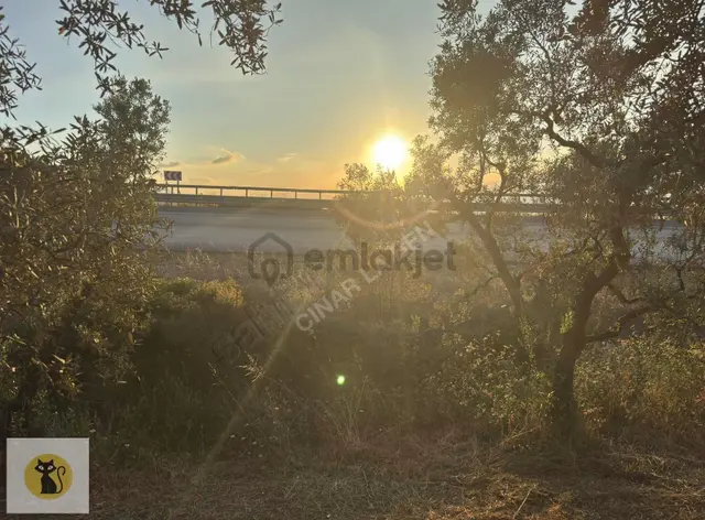Göl Manzaralı Asfalt Cephe 3716 M2 Zeytinlik Kaçırma!!! 1