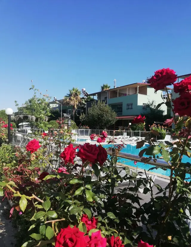 Kuşadası'nda Havuzlu Sitede 5+1 Eşyalı Turizm Konutu  Belgeli Villa 2