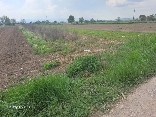 Adapazarı Budaklar Mah. Yola Sıfır Satılık İki Yan Parsel 1