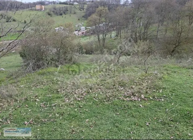 Merkez Emlak Armağan'dan 3274 M2 Korfez De %5 İmarlı 3