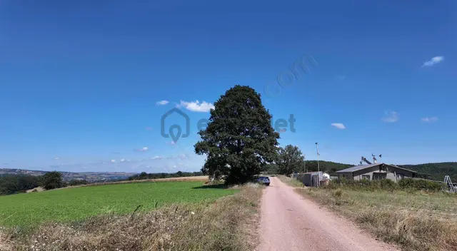 Derince Terziler Mah. Yatırımlık 4.505 M² Yol Cepheli Tarla 3