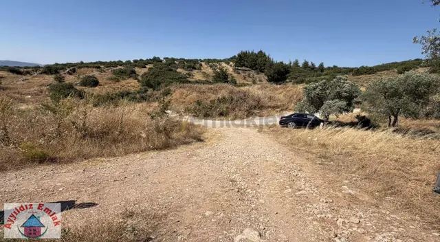 İmara 500 Metre Köşe Zeytinlik 4
