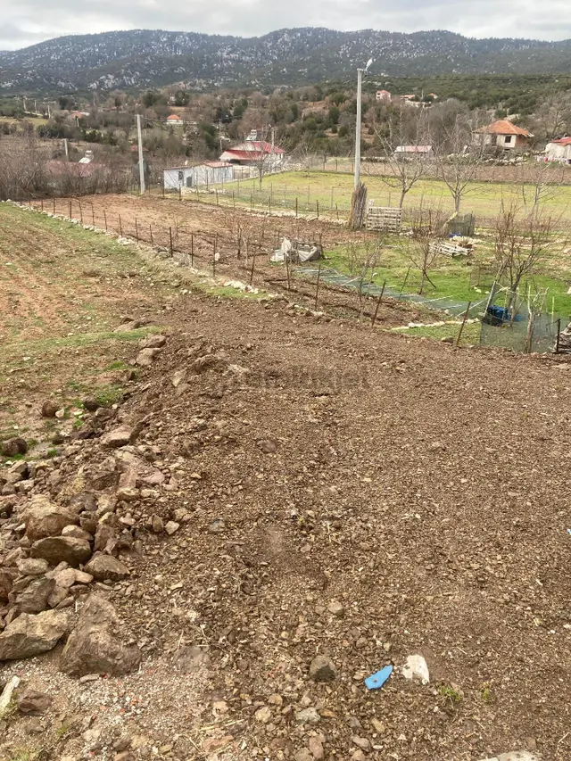Yaylapatlangıç Köyiçi Satılık Bahçe 3