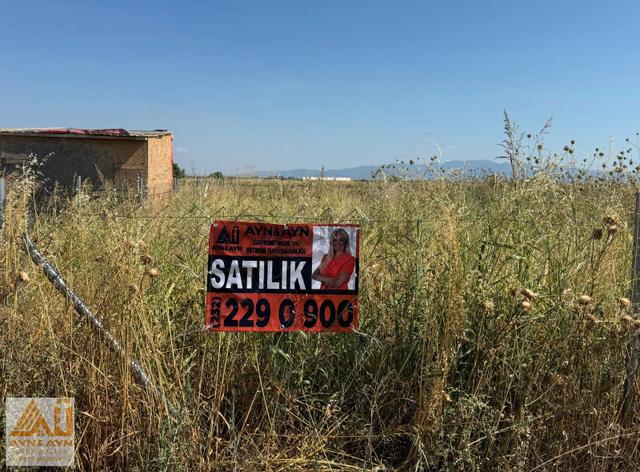 Seyrekte Doğayla İç İçe Satılık Hobi Bahçesi Tarla 5