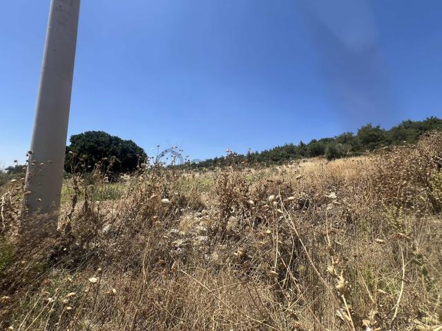 İzmir Bergama Çalıbahçe Mah. Satılık 5375 M2 Tarla 4