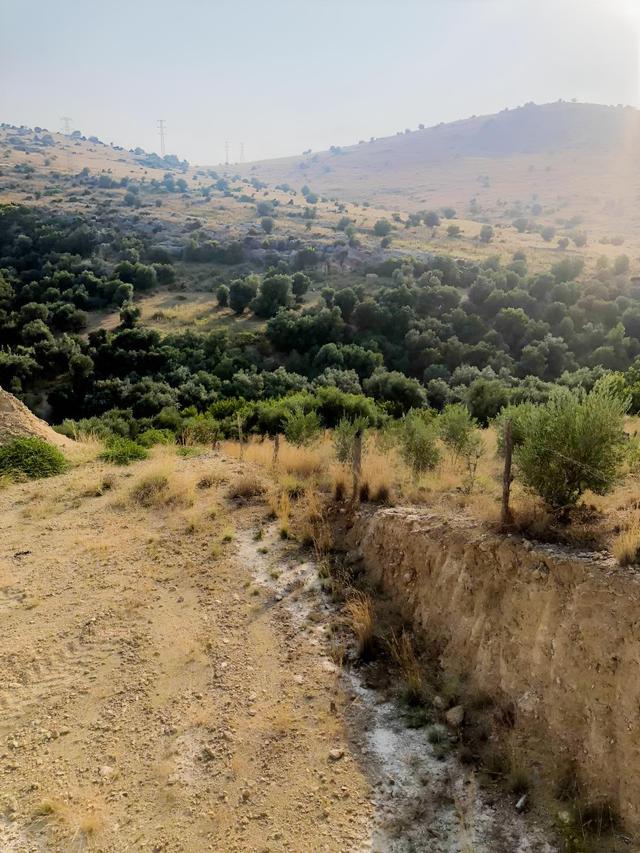 Anadolu Gayrimenkulden Kozan Ortaokulu Civarında Yatırımlık Arsa 3