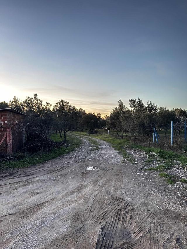 Seyitahmet Mh. Fatih Okulu İle Kanal Arasında 384 M2 İmarlı Arsa 3