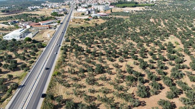 Zecorner'dan Gömeç Karaağaçta Anayola Sıfır Zeytinlik Yerleşim Y 2