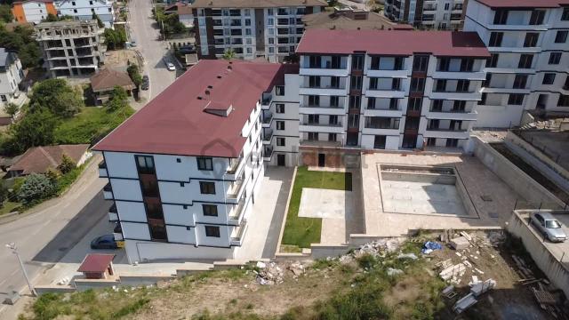 Site İçi Yaşam 4
