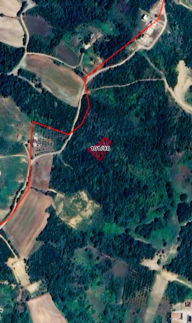 Yalova Kadıköy De Doğanın İçinde Değerli Bir Yatırım Fırsatı 1