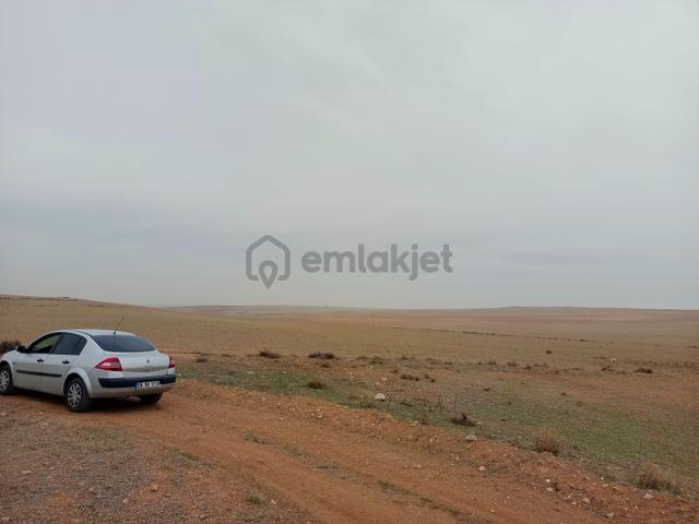 Yukarıpınarşı'nda Satılık 26717 M2 Tarla Hissesi 2