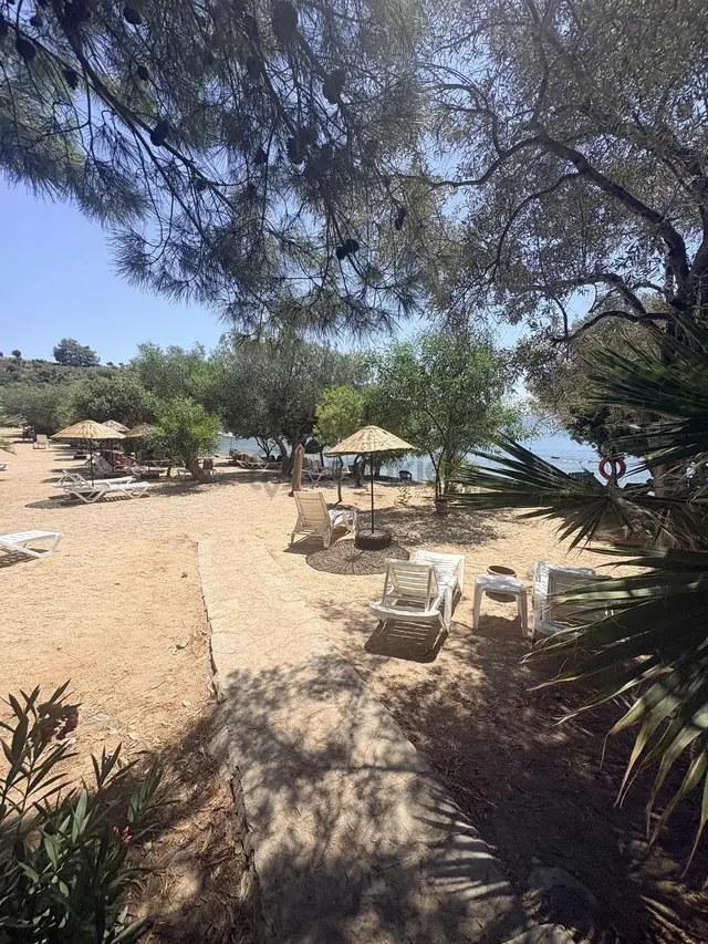 Milas Kıyıkışlacık İassos Beach Clubda Fırsat.. 1