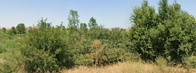 Babaeski Düğüncülü'de Satılık 12.485 M2 Tek Tapu Tarla 4