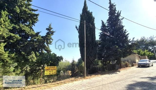 İzmir Manisa Yolu Üzerinde Sarnıç Kavşağında 516m2 Bağ & Bahçe 1