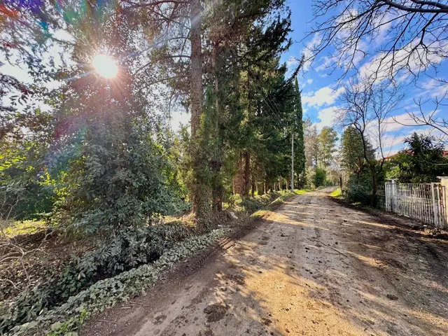 Bahtılı'da 10 Dönüm Bir Çok Tesise Uygun Kiralık Tarla 2