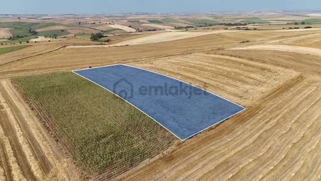 Gazioğlu'nda Yola Cepheli 3.200 M² Fırsat Yatırımlık Tarla 3
