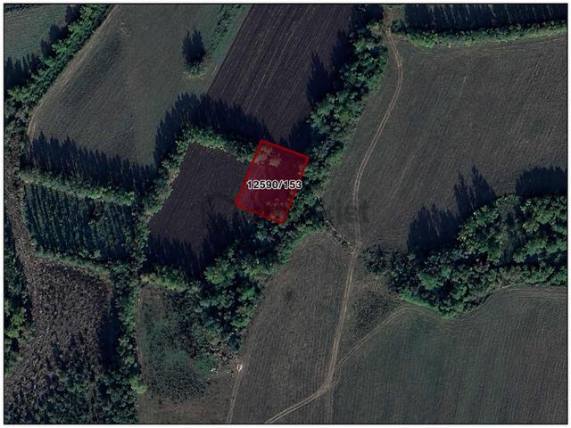 Remax Serhat/kamalı/tek Tapu/satılık Arsa 5
