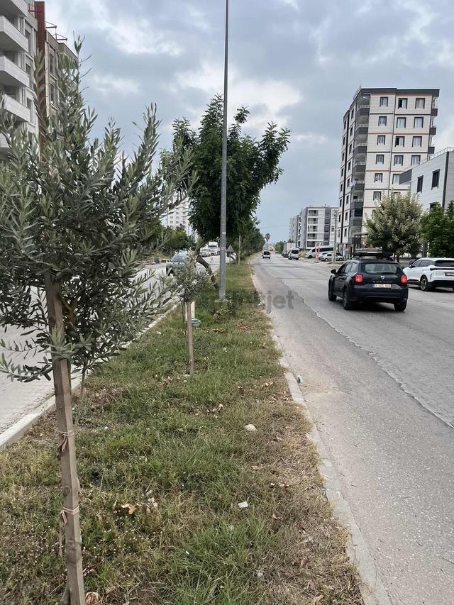 Orhangazi Mh. Fatih Cd. 3+1 Dairemiz Kiralıktır 5