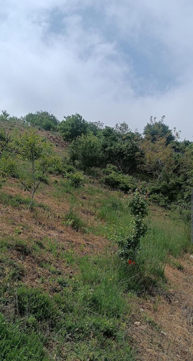 Yenişehir'in En Güzel Köyünde Sahibinden Satılık Köy İçi Bahçe 4