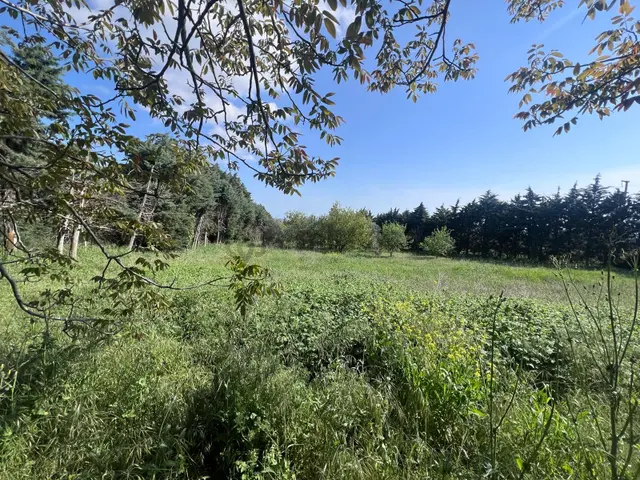 Silivri Ortaköyde 3455 M², Terkten Sonra 2079 M² Köşe Parsel 2