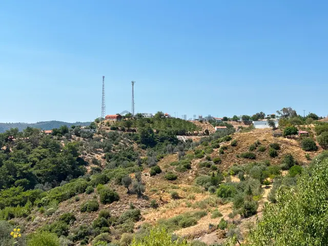 Seferihisar Beylerde Köyü'nde Yatırımlık Satılık Zeytinlik 4