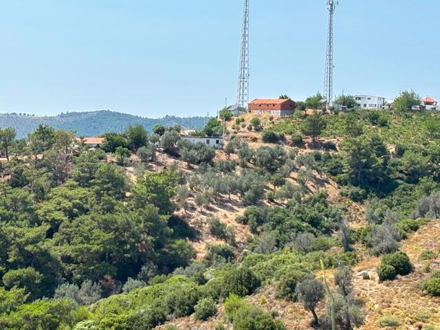 Seferihisar Beylerde Köyü'nde Yatırımlık Satılık Zeytinlik 3