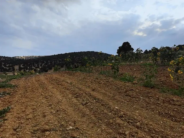 Karadığınde 2100 M2 Satılık Tarla 1