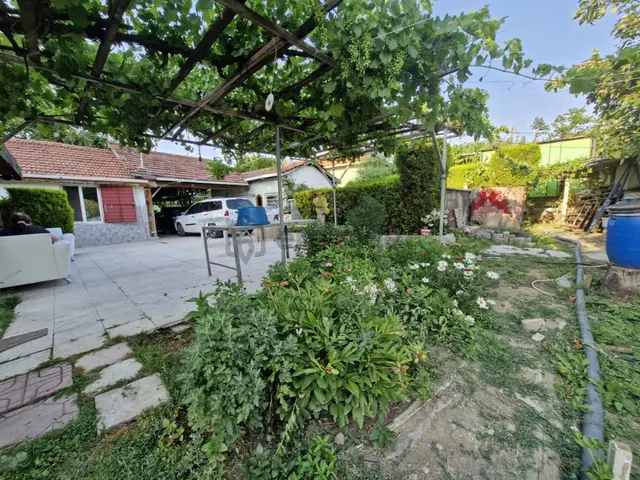 Lozanevler Yurt Arkası Orta Kapaklı Ağlarında Satılık Bakımlı Bağ 3
